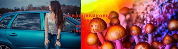 кокаин колумбия Алексин