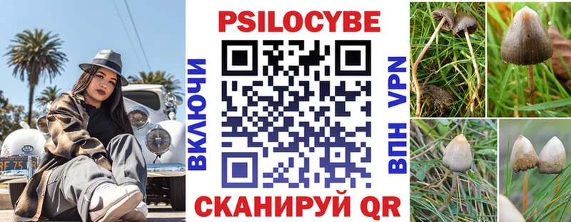 Псилоцибиновые грибы Psilocybine cubensis  Похвистнево 